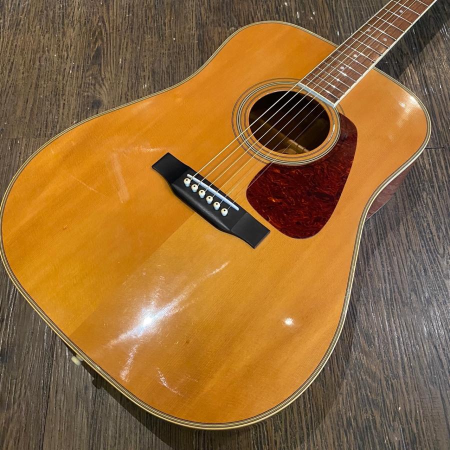 Morris Morris MD-507 Acoustic Guitar 1980年代 モーリス